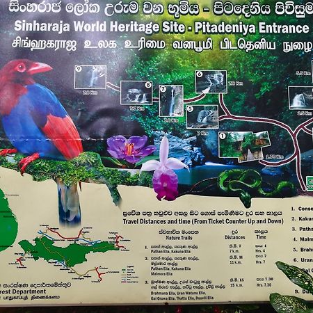 Sinharaja Vini Villa Deniyaya Extérieur photo