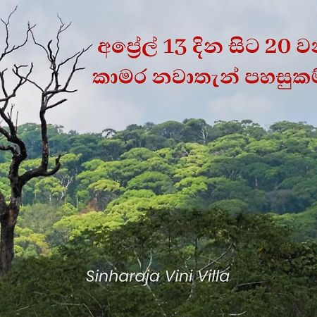 Sinharaja Vini Villa Deniyaya Extérieur photo