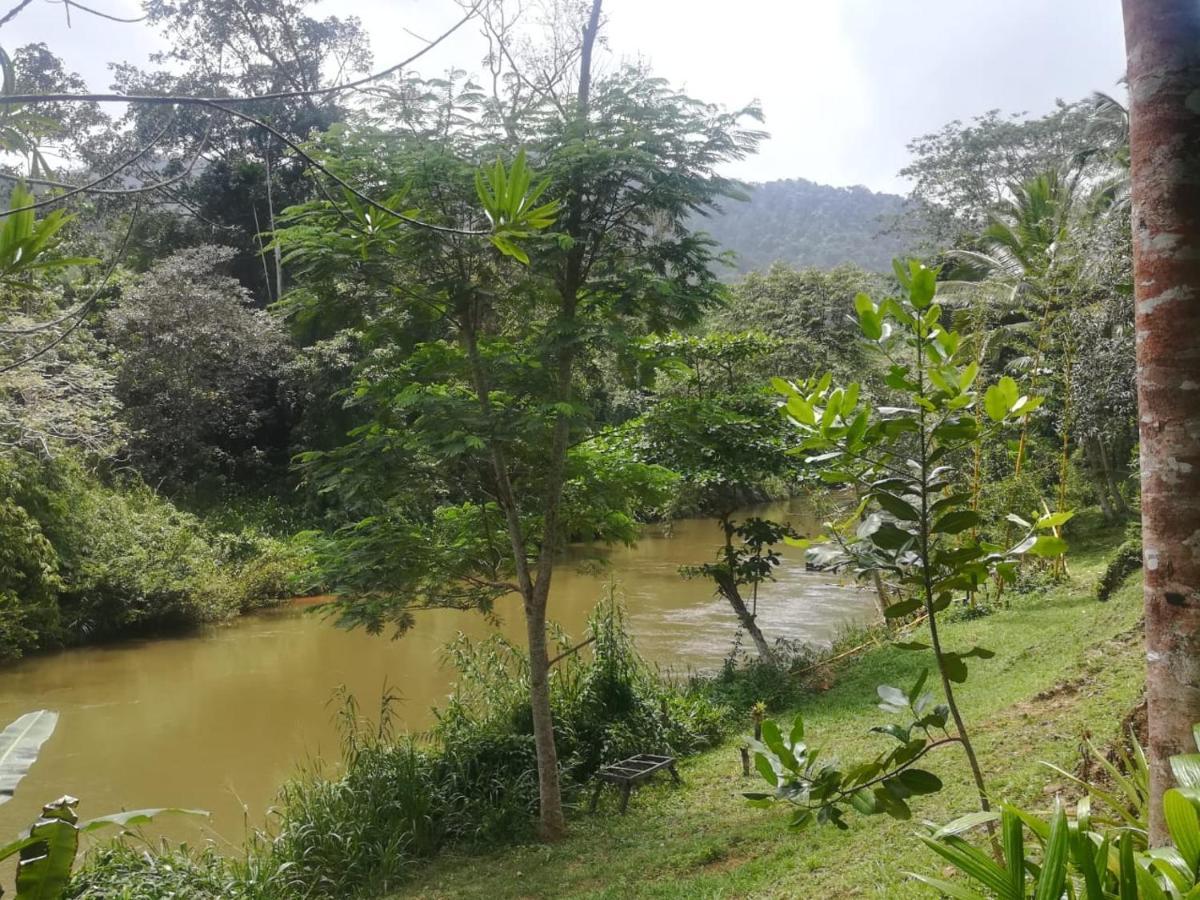 Sinharaja Vini Villa Deniyaya Extérieur photo