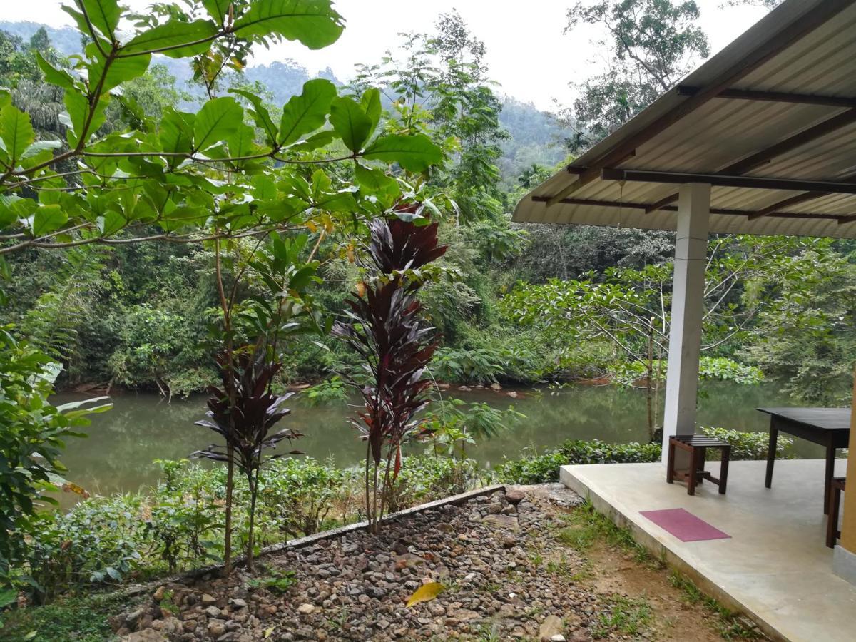 Sinharaja Vini Villa Deniyaya Extérieur photo