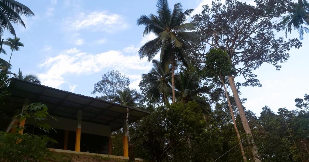 Sinharaja Vini Villa Deniyaya Extérieur photo