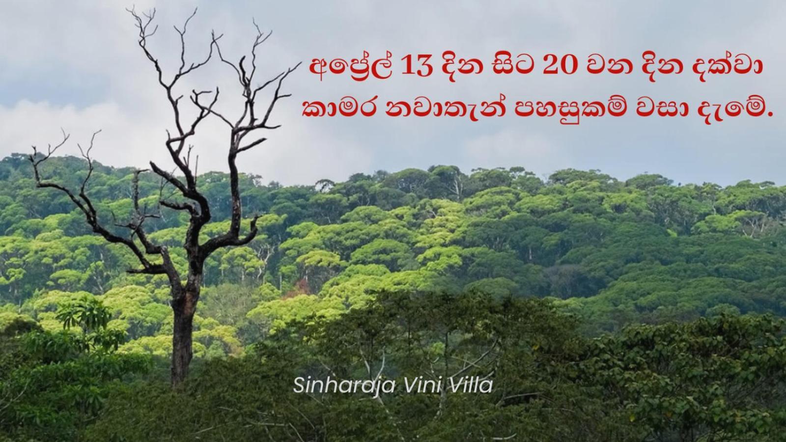 Sinharaja Vini Villa Deniyaya Extérieur photo